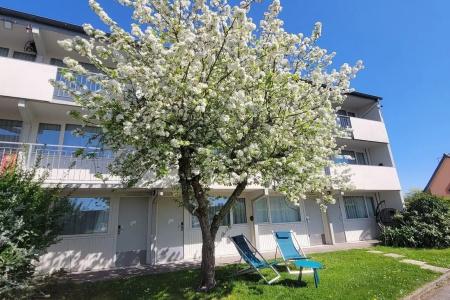 Brit Quimper Sud - 18