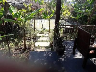 Dontrei Villa Angkor - 53