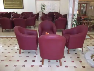 Sun Palm - 23