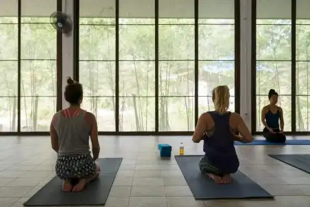 Wonderland Healing Center - 27