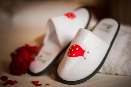 Villa Ermellina Siena, a Tribute Portfolio - 45