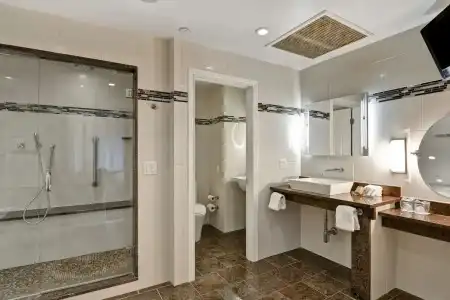 The Cincinnatian Curio Collection by Hilton - 60