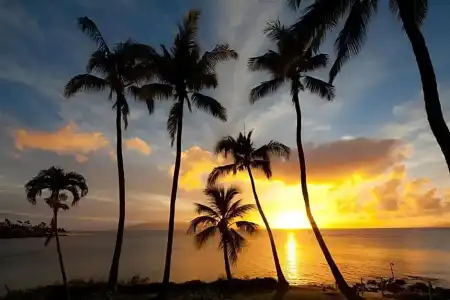 Napili Kai Beach Resort - 102