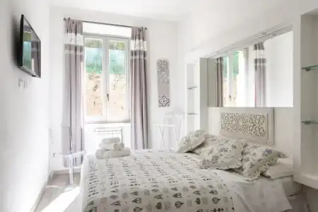 Siena Vip - 30