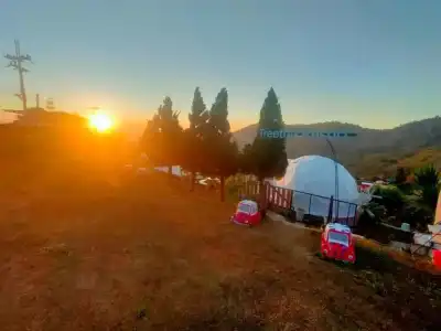 Khao Kho Tree Top - 56