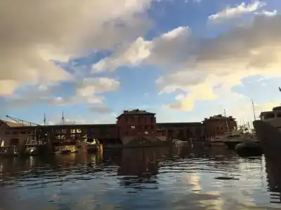 Paradiso Numero 12 - 14