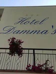 Dammas - 12
