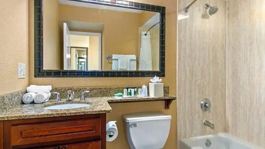 Holiday Inn & Suites Clearwater Beach by IHG - 169