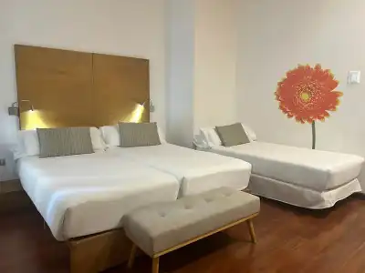 Petit Palace Plaza Malaga - 5
