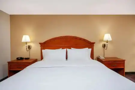 Orlando Palms - 6