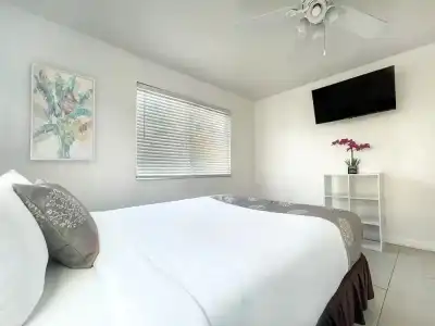 The Palms - 14