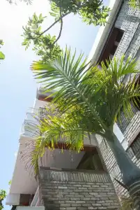 Apartamentos El Paseo - 0