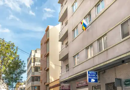 Blanca Paloma - 0