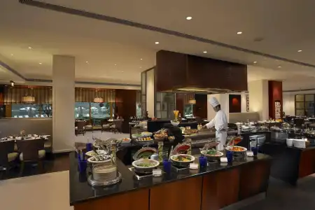 ITC Maurya, a Luxury Collection, New Delhi - 24