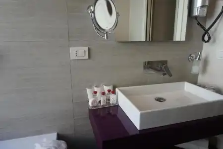 Trevi Palace Luxury Inn - 12