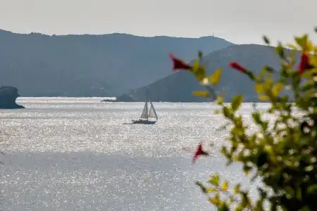 Sea View Studios - 97
