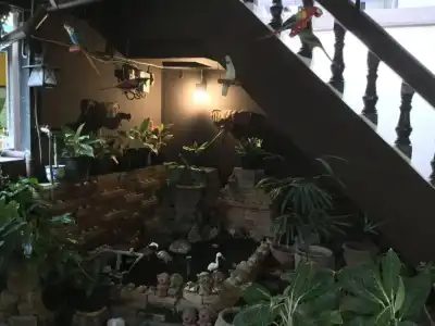 North Star Guest House - 17