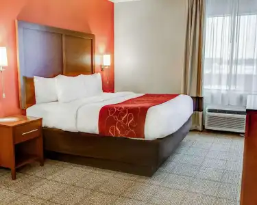Comfort Suites Tyler South - 4