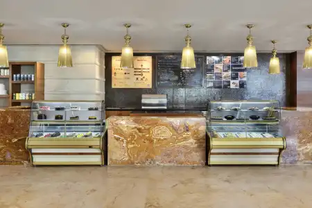 Jaipur Marriott - 21