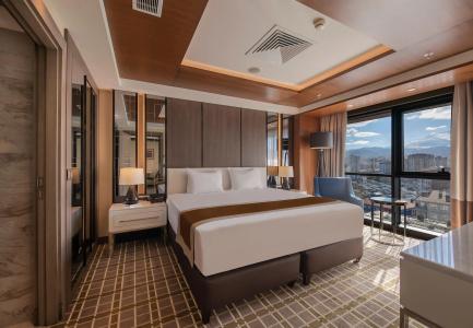 Holiday Inn KAYSERI - DUVENONU by IHG - 25