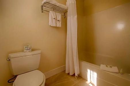 Sun & Ski Inn and Suites - 62