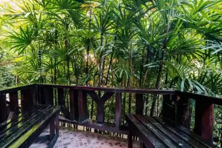 Phupha Aonang Resort and Spa - 124