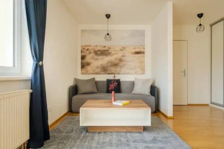 Business & Family Ambiente Apartments - 137
