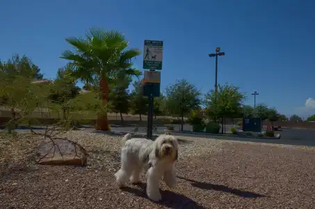 Holiday Inn Express Las Vegas-Nellis by IHG - 35