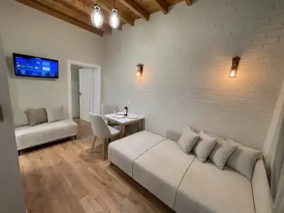 Arial Penthouse Suites - 312