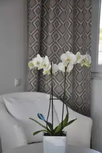 Hotel-Restaurant Zur Post - 34