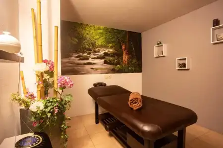 Panorama & Spa - 43