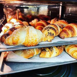 Acca Palace AAs - 13