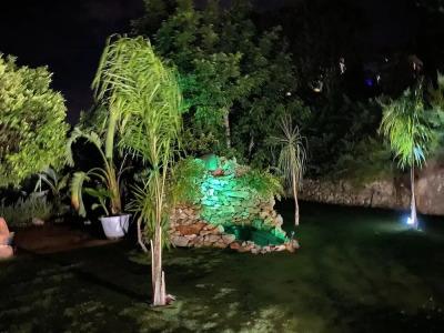 Altea Paradise 1917 - Adults Only - 5