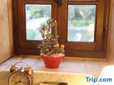 Logis du Chateau - 52