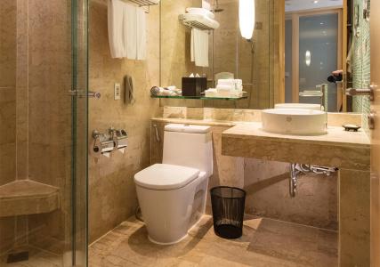 Holiday Inn BANGKOK by IHG - 8