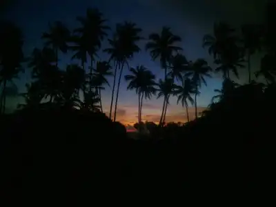 Ocean View - 16
