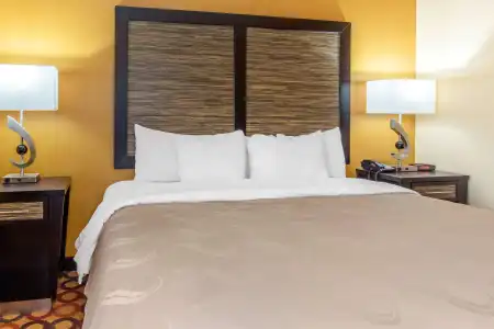 Quality Inn & Suites Montgomery East Carmichael Rd - 5