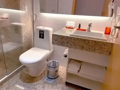 Cullinan Hplus Premium - 55