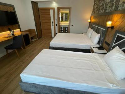 Grand Nergiz Otel - 66