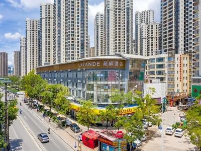 Lavande - 21