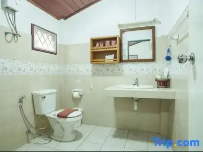 Diana Garden Resort & Lodge - 155