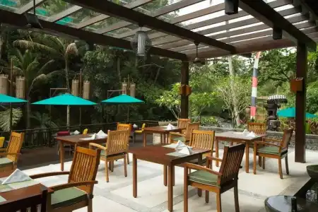 The Samaya Ubud - 17