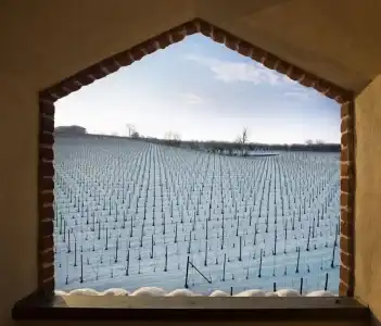 Cascina Baràc - 40
