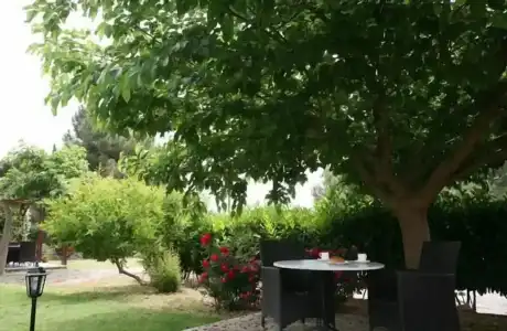 Stavros Tou Notou - 11
