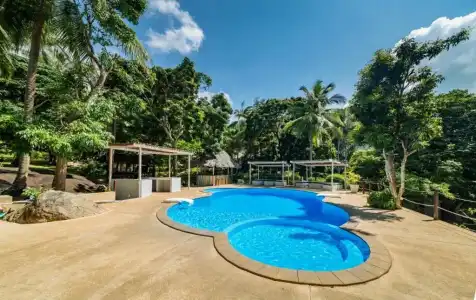 Shiralea Island Resort - 6