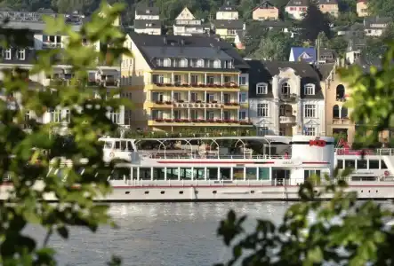 Baudobriga Rheinhotel - 1