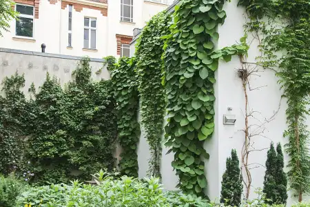 Quentin Design Berlin - 47