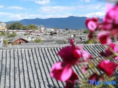 Lijiang Courier Inn - 25