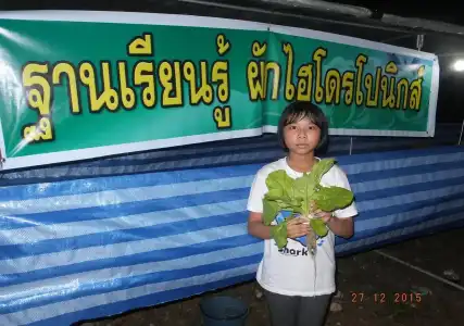 Go Green Resort - 9