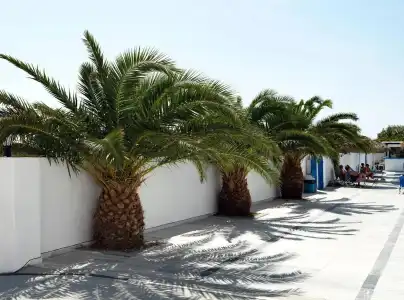 Villa Valvis - 11